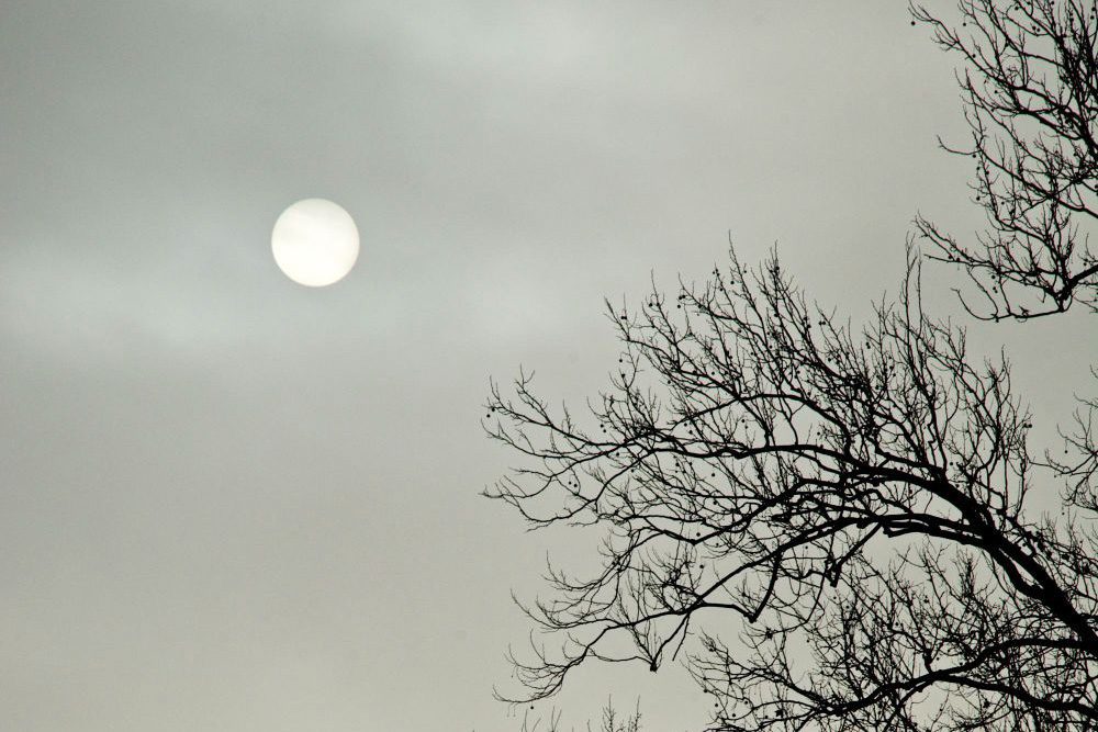Full moon in hazy dusky sky