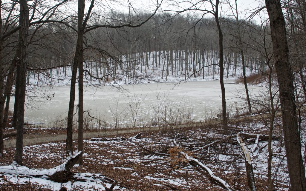 frozen pond at winton woods