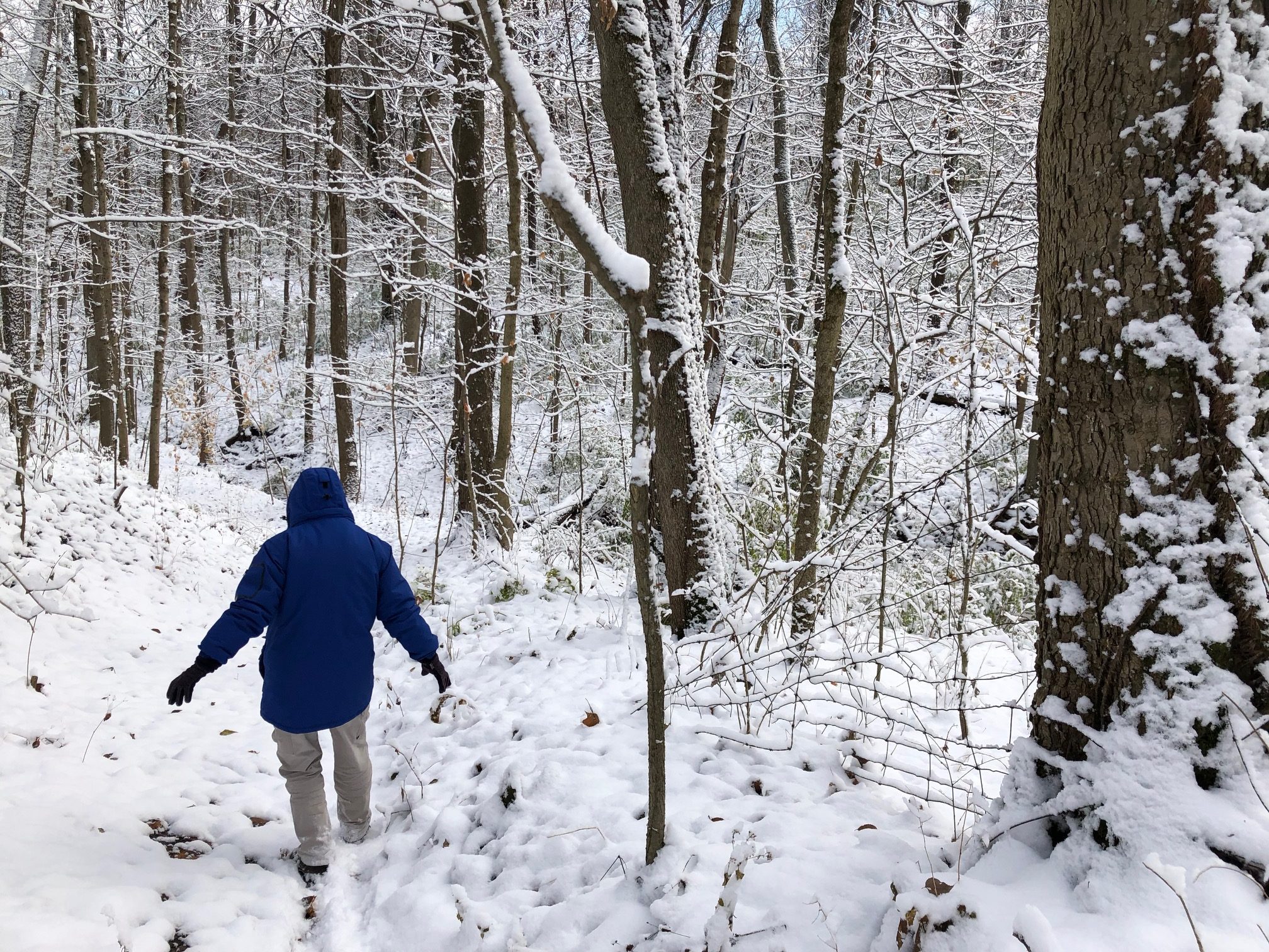hiker off the beaten patch at great parks of hamilton county